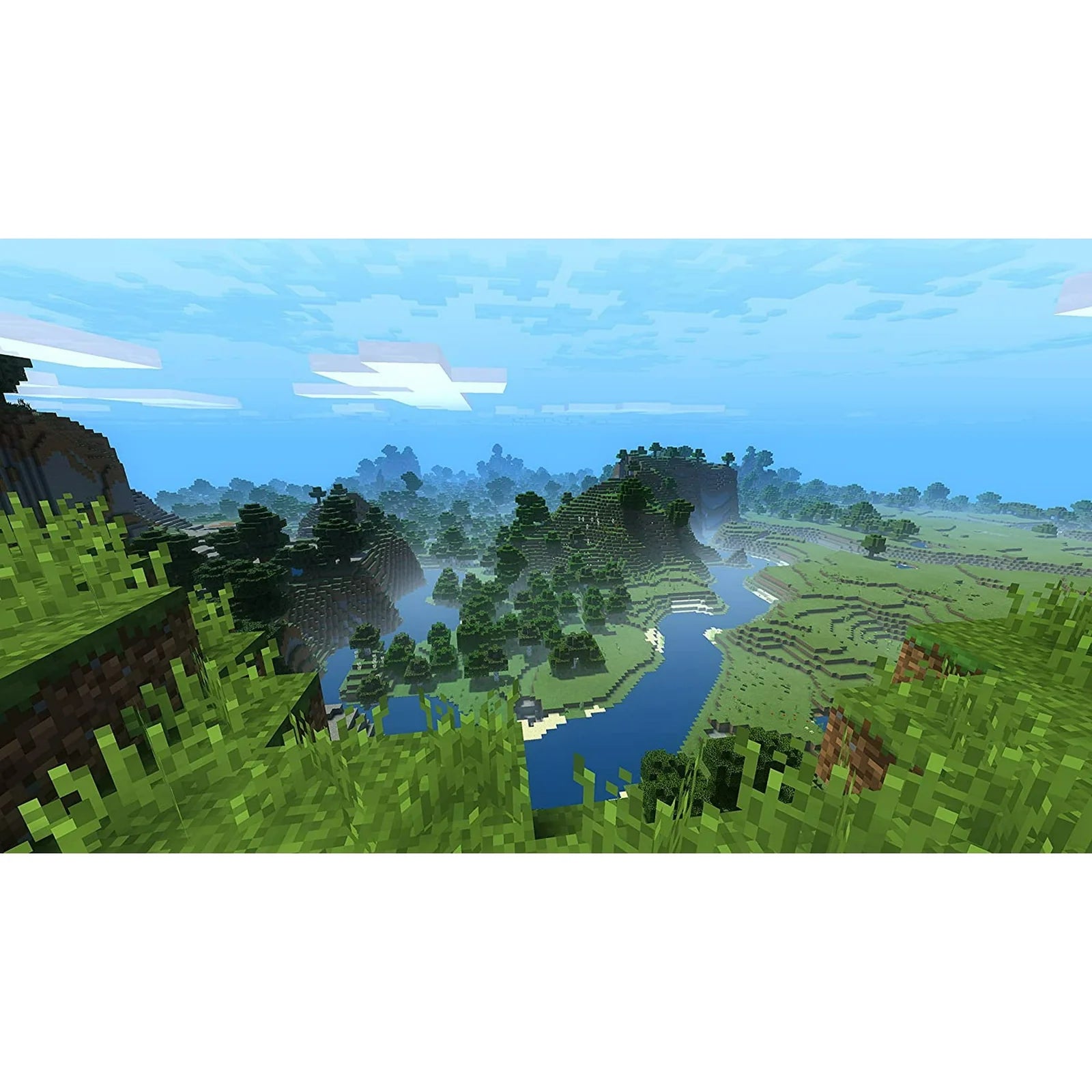 Nintendo Switch Minecraft (ASI)