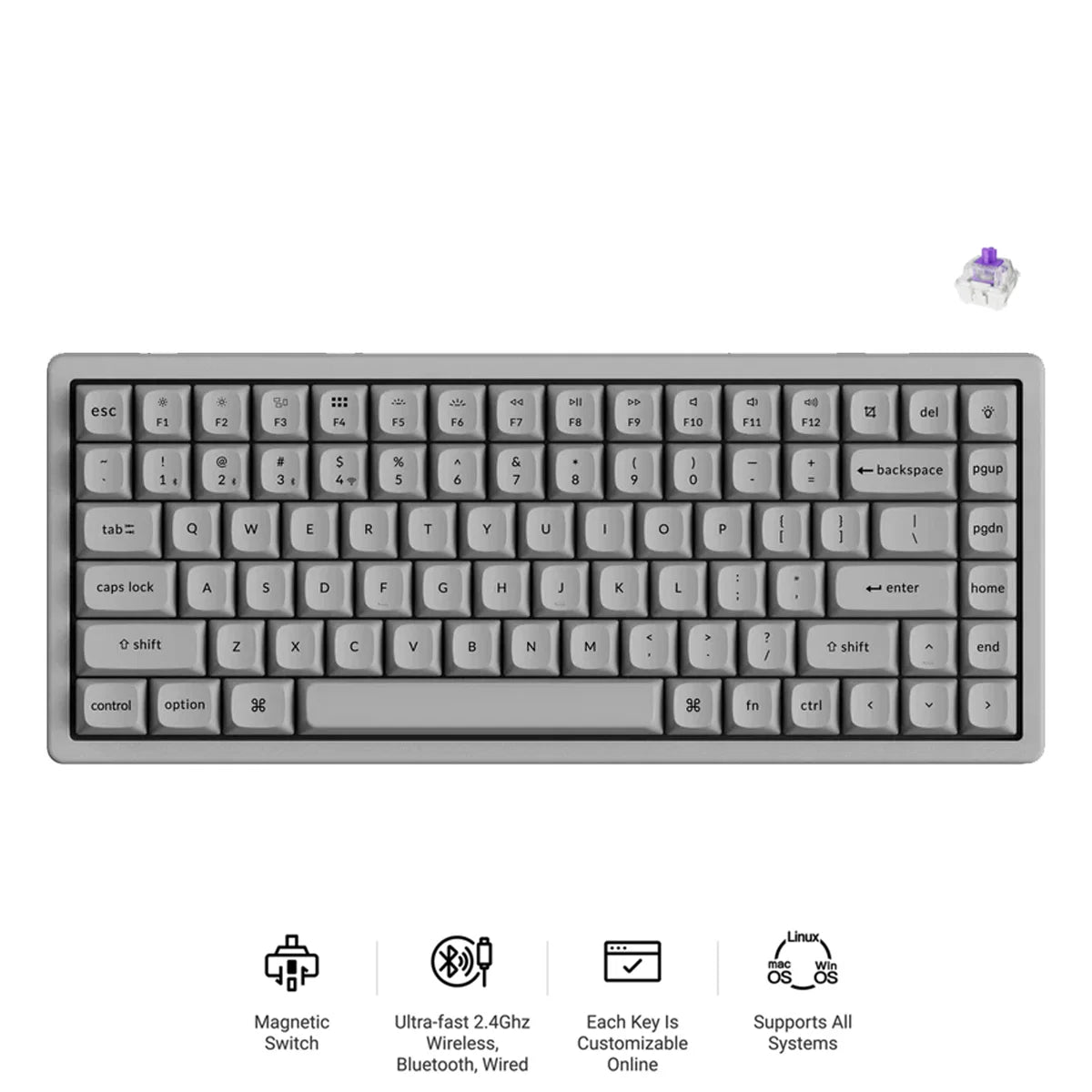 Keychron K2 HE 75% Wireless Hot-Swappable RGB Magnetic Switch Custom Keyboard (Gateron Double-Rail Magnetic Nebula Switch)