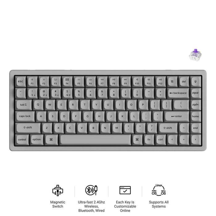 Keychron K2 HE 75% Wireless Hot-Swappable RGB Magnetic Switch Custom Keyboard (Gateron Double-Rail Magnetic Nebula Switch)