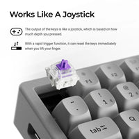 Keychron K2 HE 75% Wireless Hot-Swappable RGB Magnetic Switch Custom Keyboard (Gateron Double-Rail Magnetic Nebula Switch)