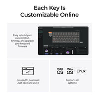 Keychron K2 HE 75% Wireless Hot-Swappable RGB Magnetic Switch Custom Keyboard (Gateron Double-Rail Magnetic Nebula Switch)