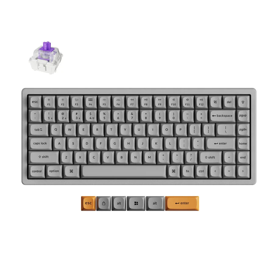 Keychron K2 HE 75% Wireless Hot-Swappable RGB Magnetic Switch Custom Keyboard (Gateron Double-Rail Magnetic Nebula Switch)