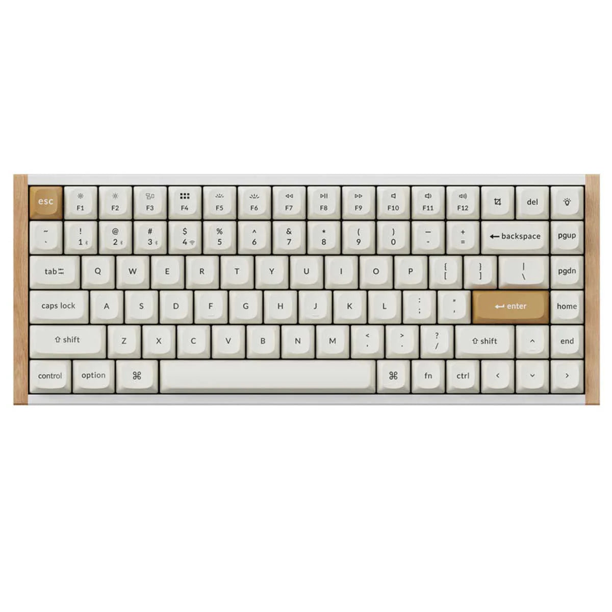 Keychron K2 HE Special Ed. 75% Wireless Magnetic Switch Keyboard (Gateron Double-Rail Magnetic Nebula Switch)