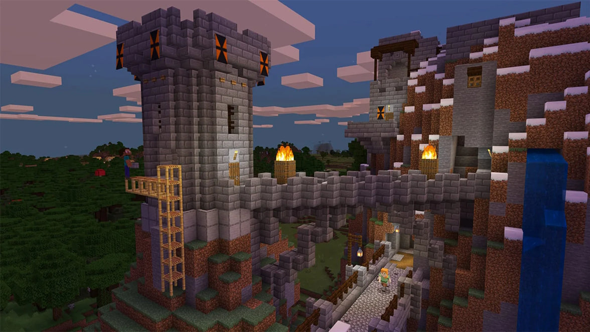 Nintendo Switch Minecraft (ASI)