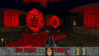 Nintendo Switch  Doom & Doom II (US)
