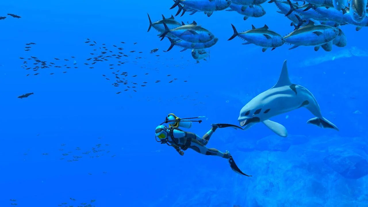 Nintendo Switch Endless Ocean Luminous (MDE)