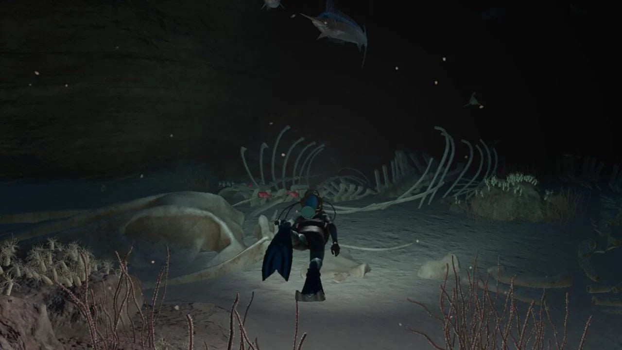 Nintendo Switch Endless Ocean Luminous (MDE)