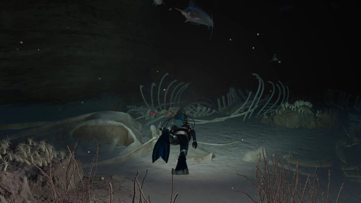Nintendo Switch Endless Ocean Luminous (MDE)