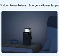 UAPOW Power AP200LY 163W