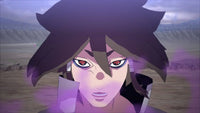 Nintendo Switch Naruto x Boruto Ultimate Ninja Storm Connections US