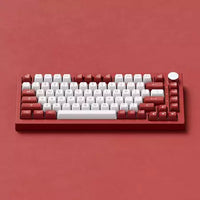Akko Chicago 5075B Plus Multi-Mode Hot-Swappable Mechanical Keyboard (Akko V3 Piano Pro Switch)