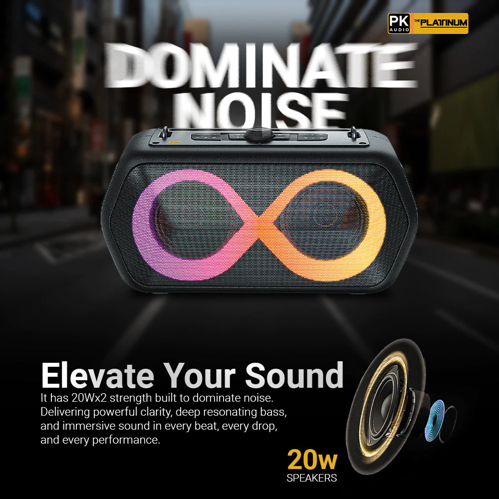 Platinum Karaoke Rover Portable Bluetooth Speaker