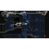 Nintendo Switch Record Of Lodoss War: Deedlit Labyrinth (EU)