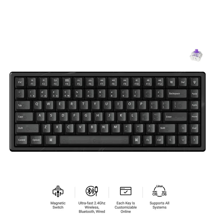 Keychron K2 HE 75% Wireless Hot-Swappable RGB Magnetic Switch Custom Keyboard (Gateron Double-Rail Magnetic Nebula Switch)