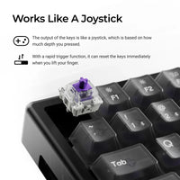 Keychron K2 HE 75% Wireless Hot-Swappable RGB Magnetic Switch Custom Keyboard (Gateron Double-Rail Magnetic Nebula Switch)
