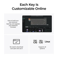 Keychron K2 HE 75% Wireless Hot-Swappable RGB Magnetic Switch Custom Keyboard (Gateron Double-Rail Magnetic Nebula Switch)