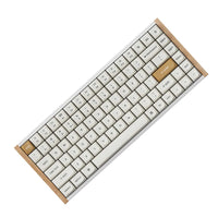Keychron K2 HE Special Ed. 75% Wireless Magnetic Switch Keyboard (Gateron Double-Rail Magnetic Nebula Switch)