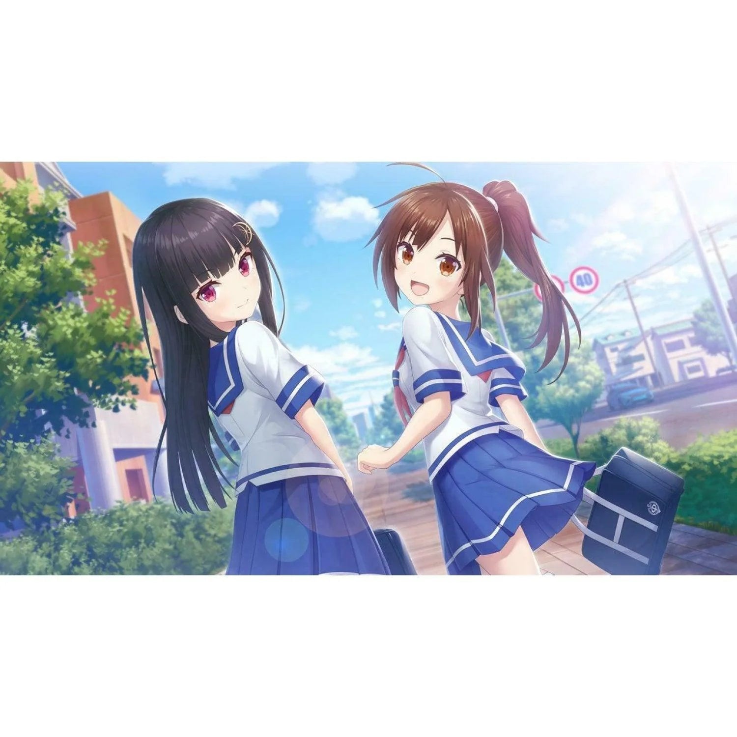 Nintendo Switch Star Melody Yumemi Dreamer (ASI)