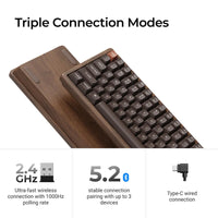 Keychron K2 HE 75% Wireless Hot-Swappable RGB Magnetic Switch Custom Keyboard (Gateron Double-Rail Magnetic Nebula Switch)