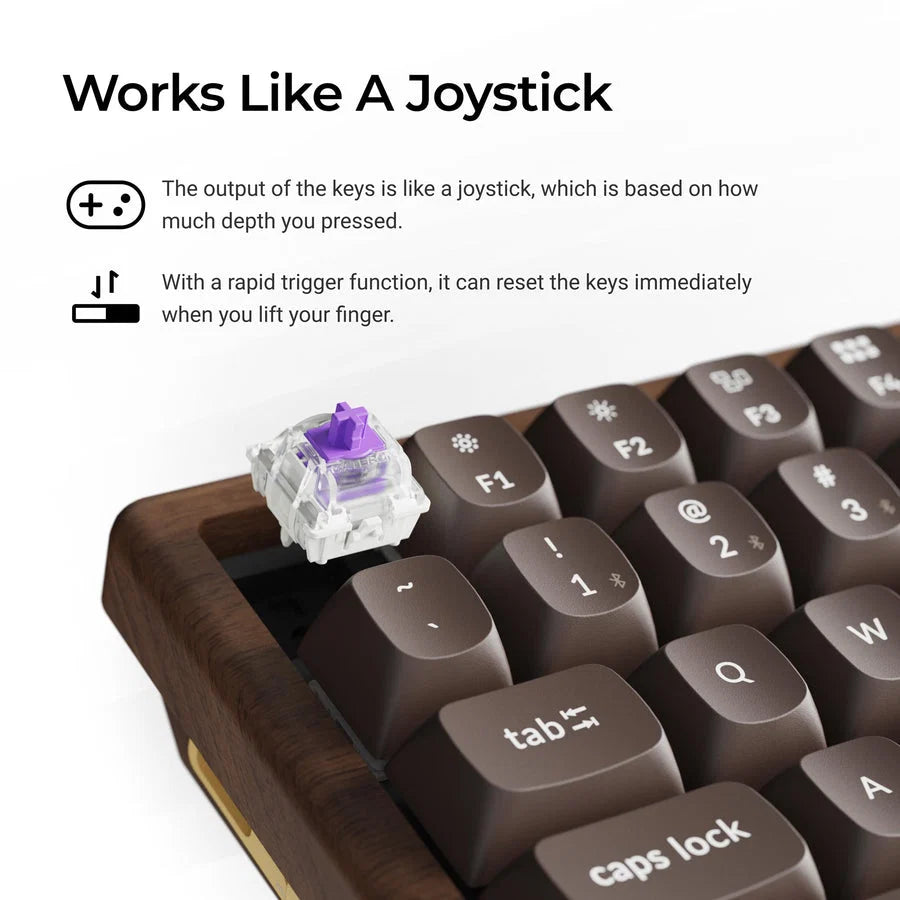 Keychron K2 HE 75% Wireless Hot-Swappable RGB Magnetic Switch Custom Keyboard (Gateron Double-Rail Magnetic Nebula Switch)