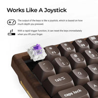 Keychron K2 HE 75% Wireless Hot-Swappable RGB Magnetic Switch Custom Keyboard (Gateron Double-Rail Magnetic Nebula Switch)