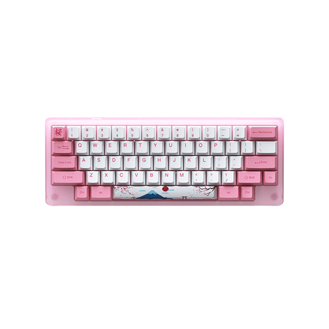 Akko ACR59 Combo RGB (SMD LED & Underglow) Hot-Swappable Acrylic Mechanical Keyboard World Tour Tokyo (Jelly Pink Switches)
