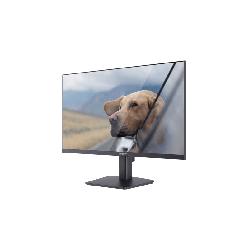 Hailan 24" Monitor SD40IF-V