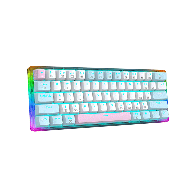 E- Yooso Z-11T 61-key Full Transparent Color Rainbow & Dynamic Lighting Effects Gaming Mechanical Keyboard [Blue/White] [Red Switch]