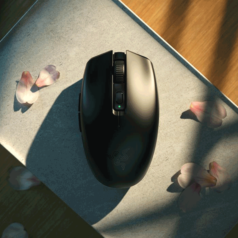 Razer Orochi V2 Mobile Wireless Gaming Mouse - GameXtremePH