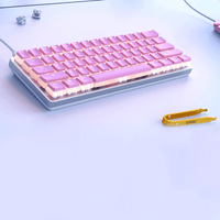 Glorious Aura Mechanical Keycaps V2 Pink