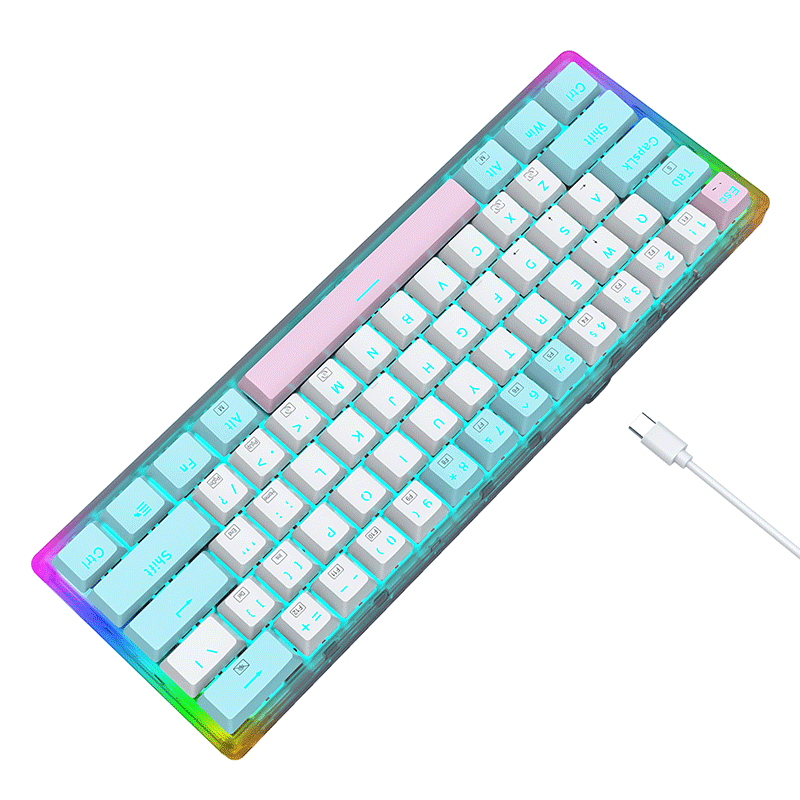 E- Yooso Z-11T 61-key Full Transparent Color Rainbow & Dynamic Lighting Effects Gaming Mechanical Keyboard [Blue/White] [Red Switch]