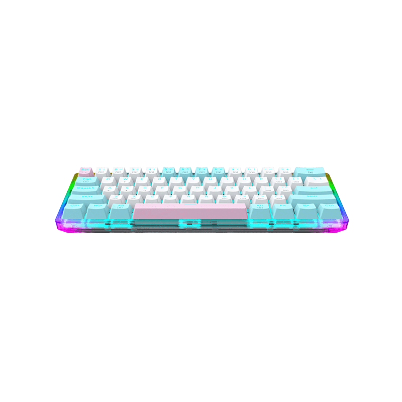 E- Yooso Z-11T 61-key Full Transparent Color Rainbow & Dynamic Lighting Effects Gaming Mechanical Keyboard [Blue/White] [Red Switch]