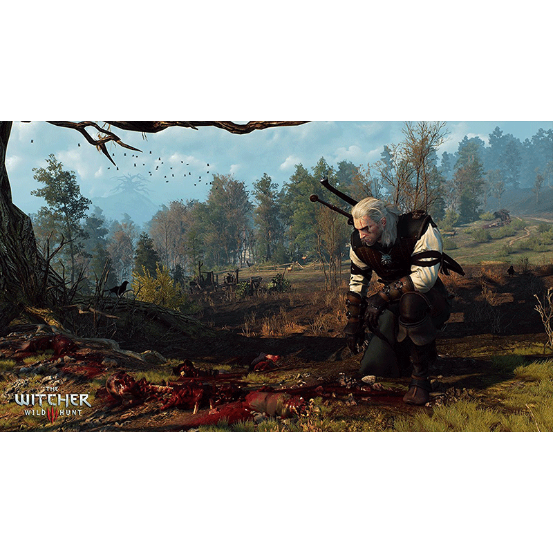 Dark Souls 3 + The Witcher 3 Wild Hunt Compilation PS4 - Play More