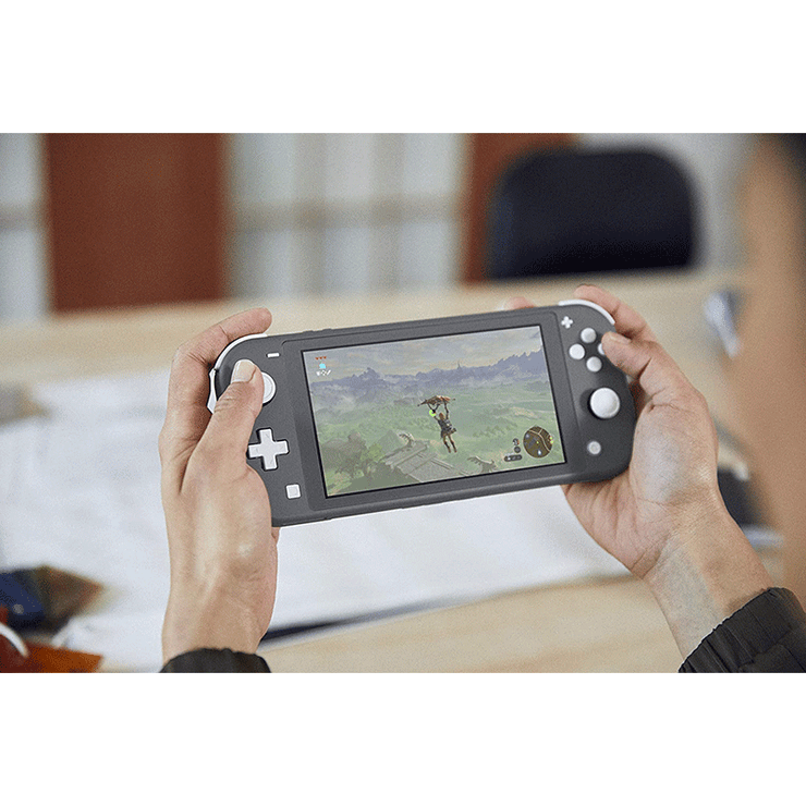  Nintendo Switch Console Lite Gray Illustration 