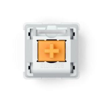 Glorious Holy panda mechanical switches - GameXtremePH