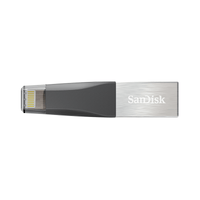 SANDISK IXPAND SDIX40N