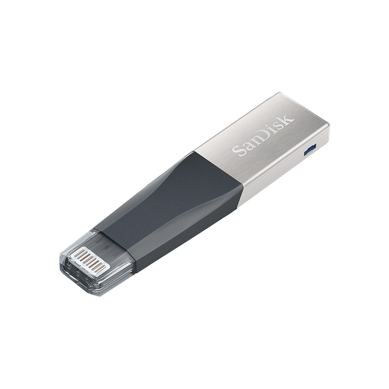 SANDISK IXPAND SDIX40N