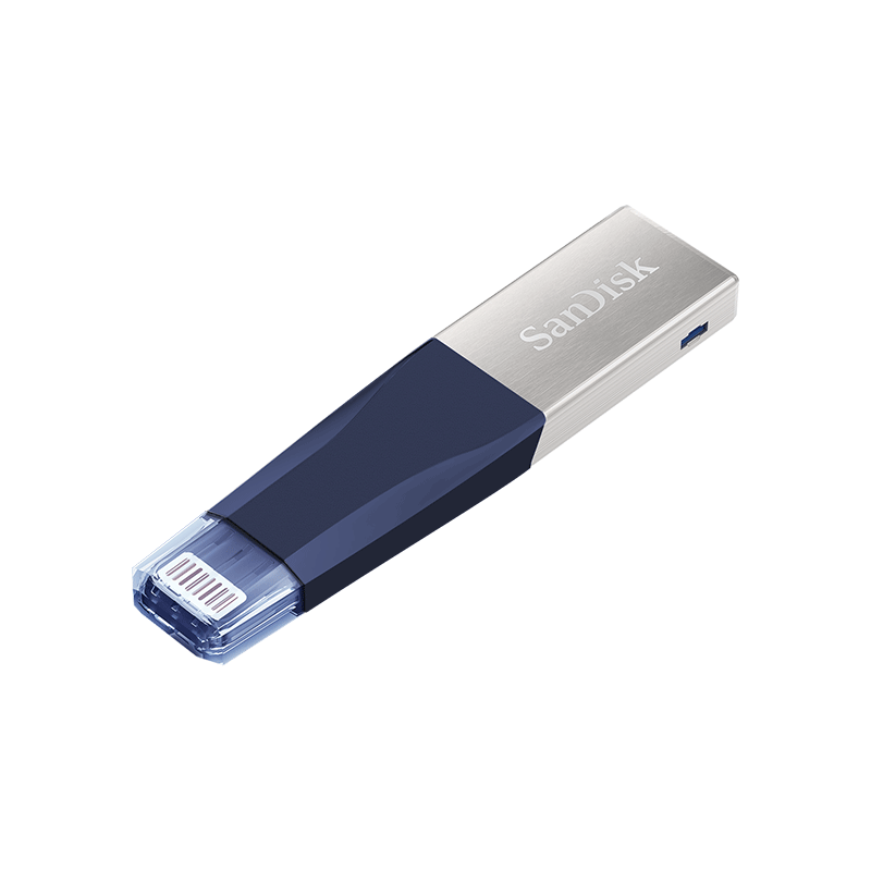 SANDISK IXPAND SDIX40N