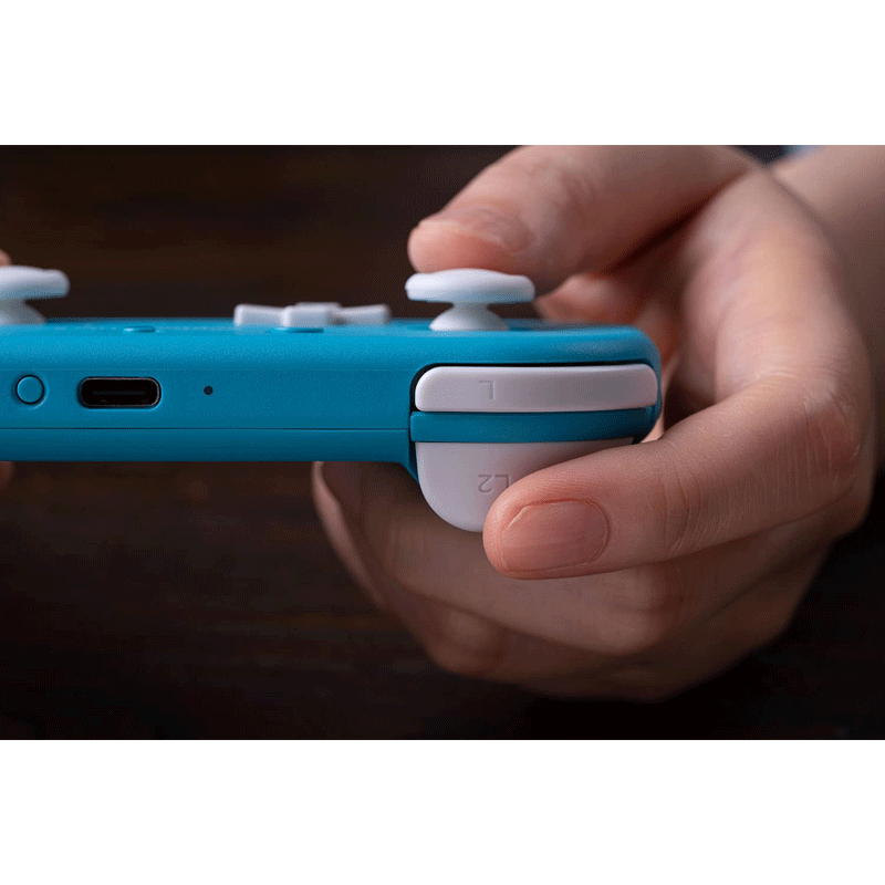 8BitDo Lite 2 Bluetooth Gamepad For Switch/Windows - GameXtremePH
